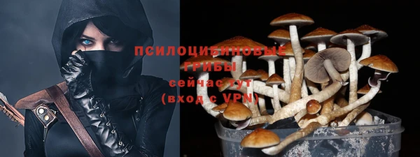скорость Баксан