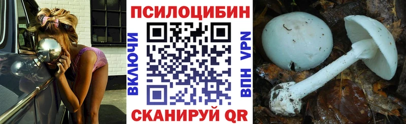 Галлюциногенные грибы Psilocybine cubensis Корсаков
